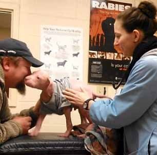 Un pui de pitbull se reîntâlneşte cu salvatorul său (VIDEO)