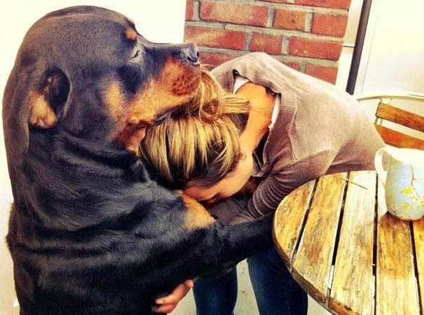 Cele mai emoţionante şi calde îmbrăţişări între oameni şi câini (GALERIE FOTO)