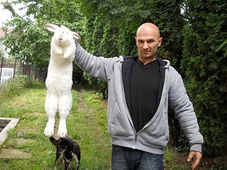  109836_77366_stiri_urias