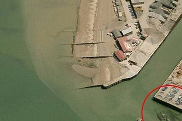  Crab de 15 metri? Imaginea momentului pe internet