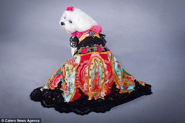 VIDEO/FOTO Moda la câini. La ce nivel au ajuns hainele pentru căţei