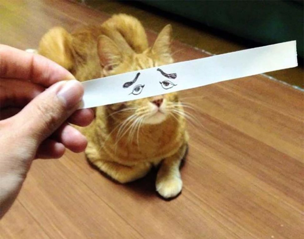  117462_81334_stiri_ochi-desenati-pentru-pisici-1