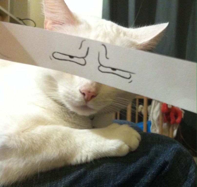  117472_81334_stiri_ochi-desenati-pentru-pisici-10