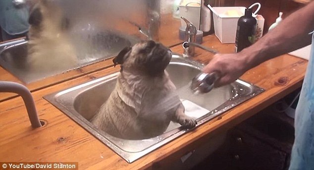  118637_81862_stiri_imbaiere-catel-4