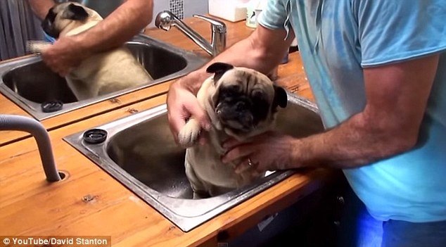  118638_81862_stiri_imbaiere-catel-5