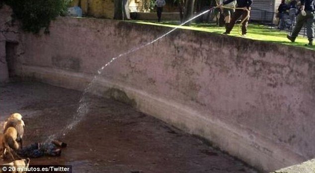  119386_82285_stiri_in-cusca-leilor