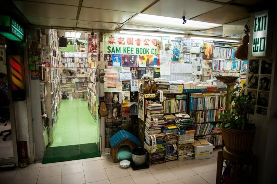 Libraria cu pisici: Locul unde sunt primite si cazate pisicile fara stapan