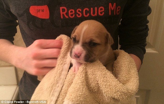  120043_82657_stiri_uscare