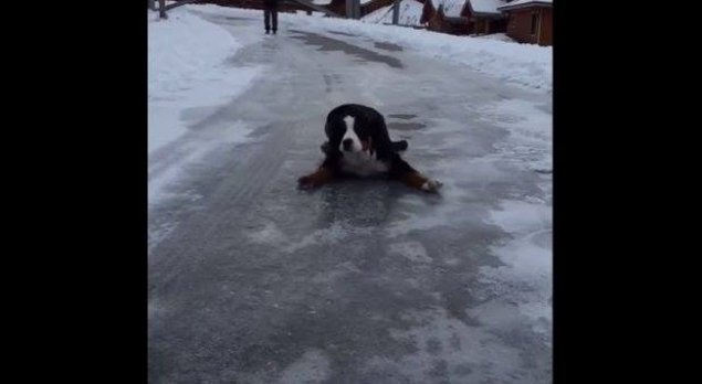 VIDEO de senzaţie: Cum alunecă 