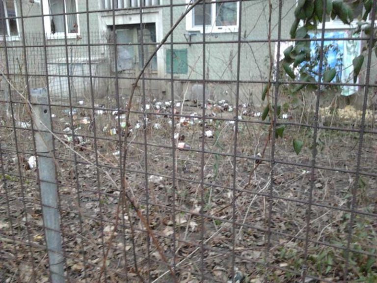 Cui aparţine vina pentru această mizerie? Aşa le place unor ieşeni să trăiască