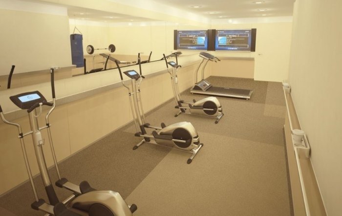 avion vladimir putin 4