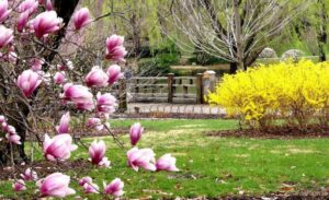 Meteo: Vreme frumoasă în mini-vacanța de 1 Mai, în întreaga țară; averse de scurtă durată în zonele de deal și de munte