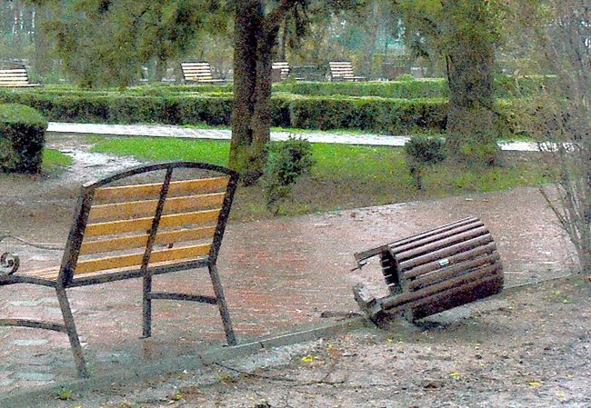 VIAŢA CETĂŢII: Pe cine deranjează coşurile de gunoi din Parcul Expoziţiei?