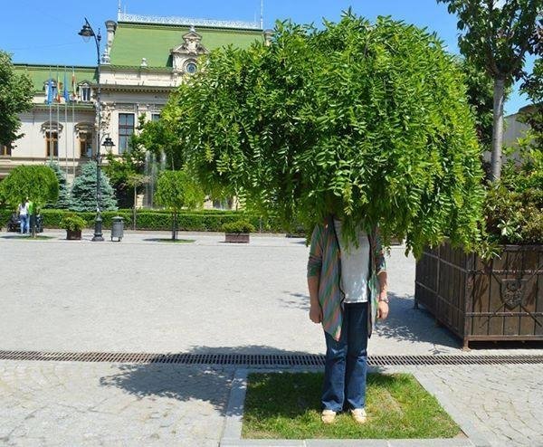 FOTO: Iată umbra pe care o fac salcâmii japonezi pe Pietonal în zilele călduroase