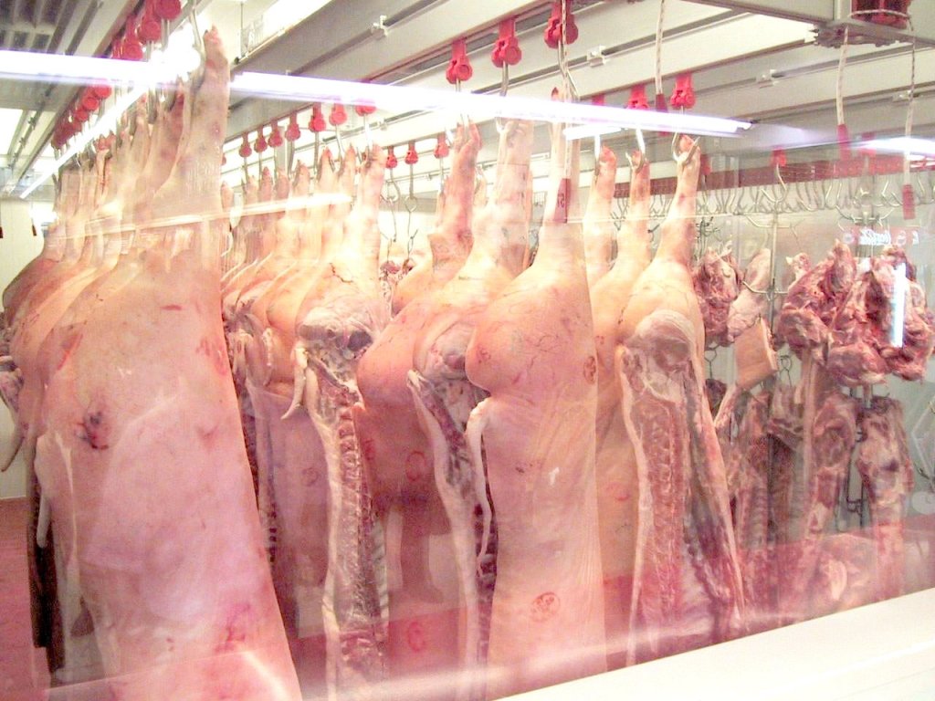  Firmei unui fost consilier PSD i se cere insolvenţa