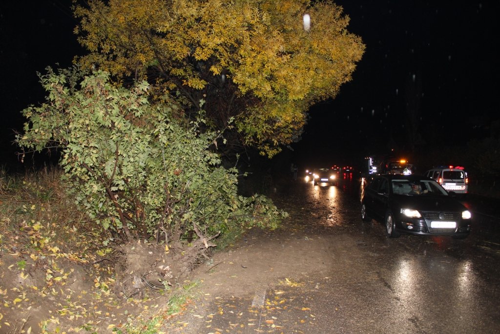  164238_108732_stiri_accident-mortal-tomesti-4