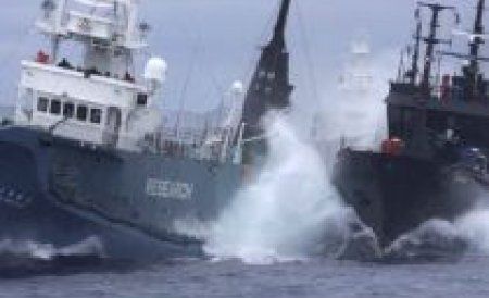 Cat e Marea Neagra de mare, tot s-au ciocnit doua nave
