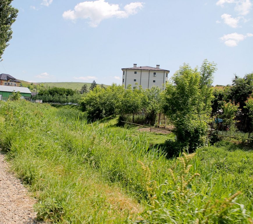  198342_128689_stiri_Stradela-Barnova-foto-Dan-Luca-13