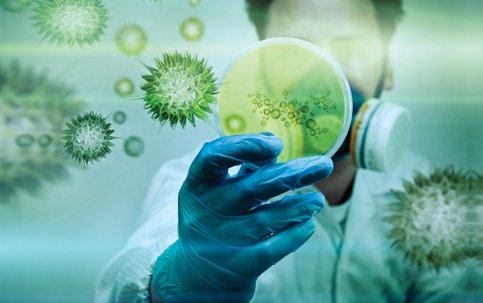 Grav semnal de alarmă: Un antibiotic „cu risc scăzut” a dus la apariţia unei superbacterii aproape netratabile