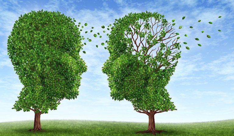 Via Naturalia - suplimente alimentare naturale: Brain Proficiency