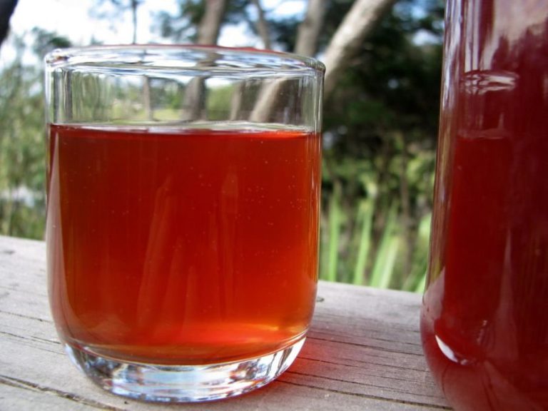 Licori tămăduitoare din miere, plante şi fructe