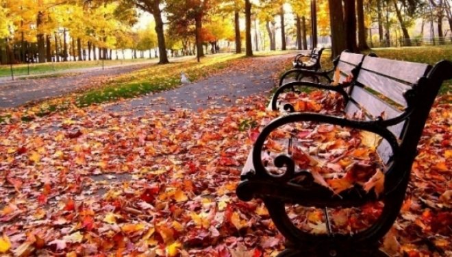 Meteorologii au anunțat când se încălzește afară. Cum va fi vremea în Moldova în următoarele două săptămâni