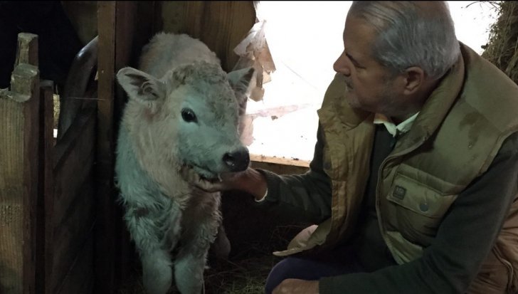 Adrian Năstse își înjură fanii pe pagina de Facebook: „Borfaș e mă-ta!