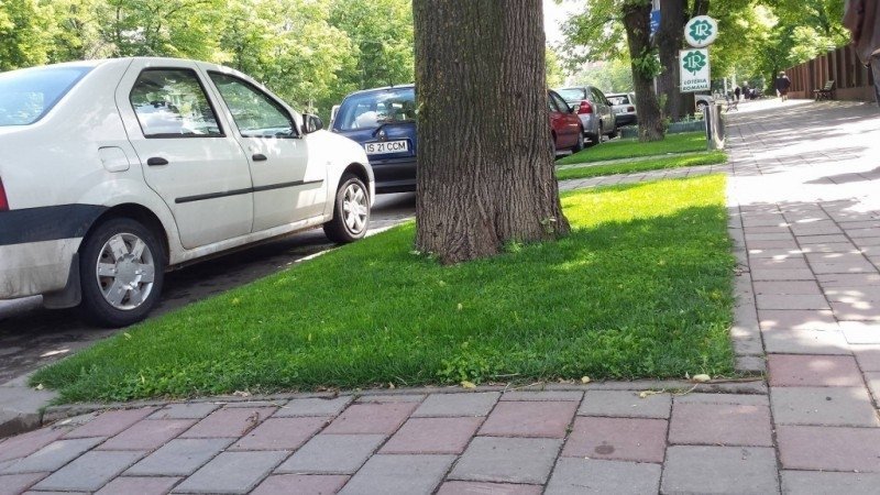  Cu ajutorul cimitirelor, fiecare ieșean are 35 mp de spaţii verzi