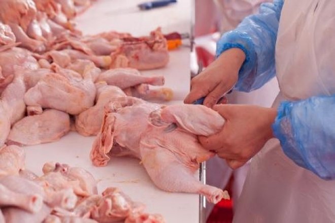 România a exportat anul trecut peste 200 de milioane de pui. „Suntem cea mai puternică forță avicolă din Uniunea Europeană”