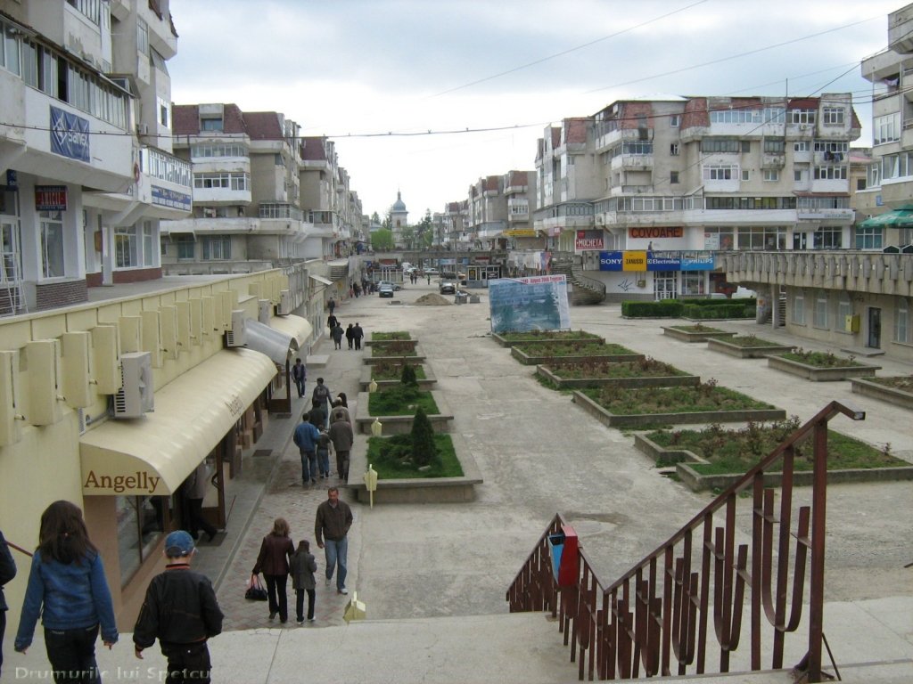  Paradoxal: Un senator ieşean cere şedinţă de guvern la Roman!