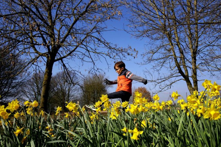 ANM – Temperaturi de 25 de grade săptămâna viitoare, specifice unei zile de vară