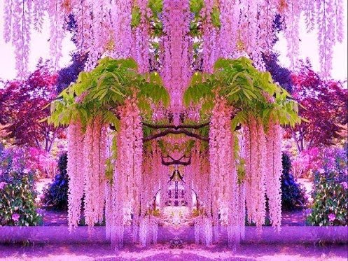  2424_55_galerie_11Kawachi-Fuji-Garden