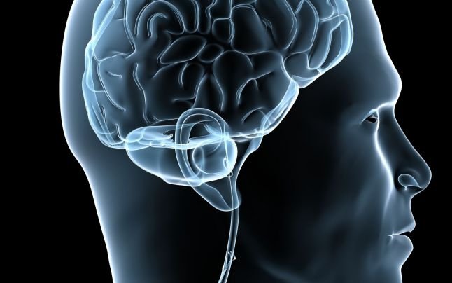  Astăzi se celebrează ziua Mondială a Creierului. Cum să preveniţi un atac cerebral