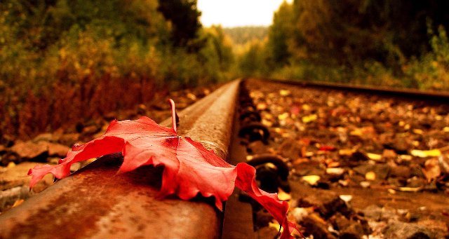  Vremea se răcește puternic: temperaturile vor fi sub cele specifice perioadei, cu minime de -3, -2 grade