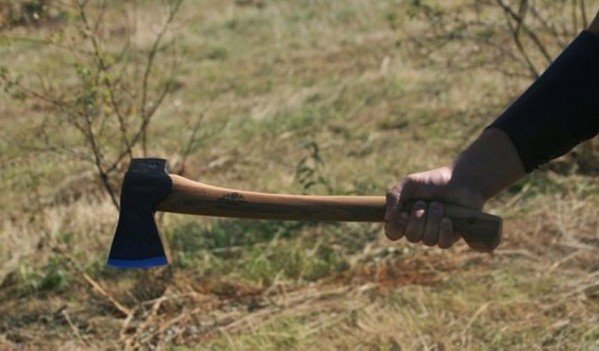 Patru bărbaţi din Iași au atacat cu bâte, furci şi topoare gospodăria unui localnic ca răzbunare pentru ajutorul dat justiţiei