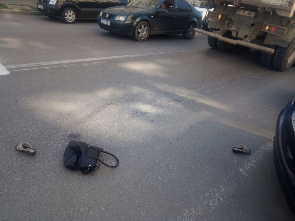  289415_189481_stiri_Accident-Zimbru-foto-Andrei-Disca-3