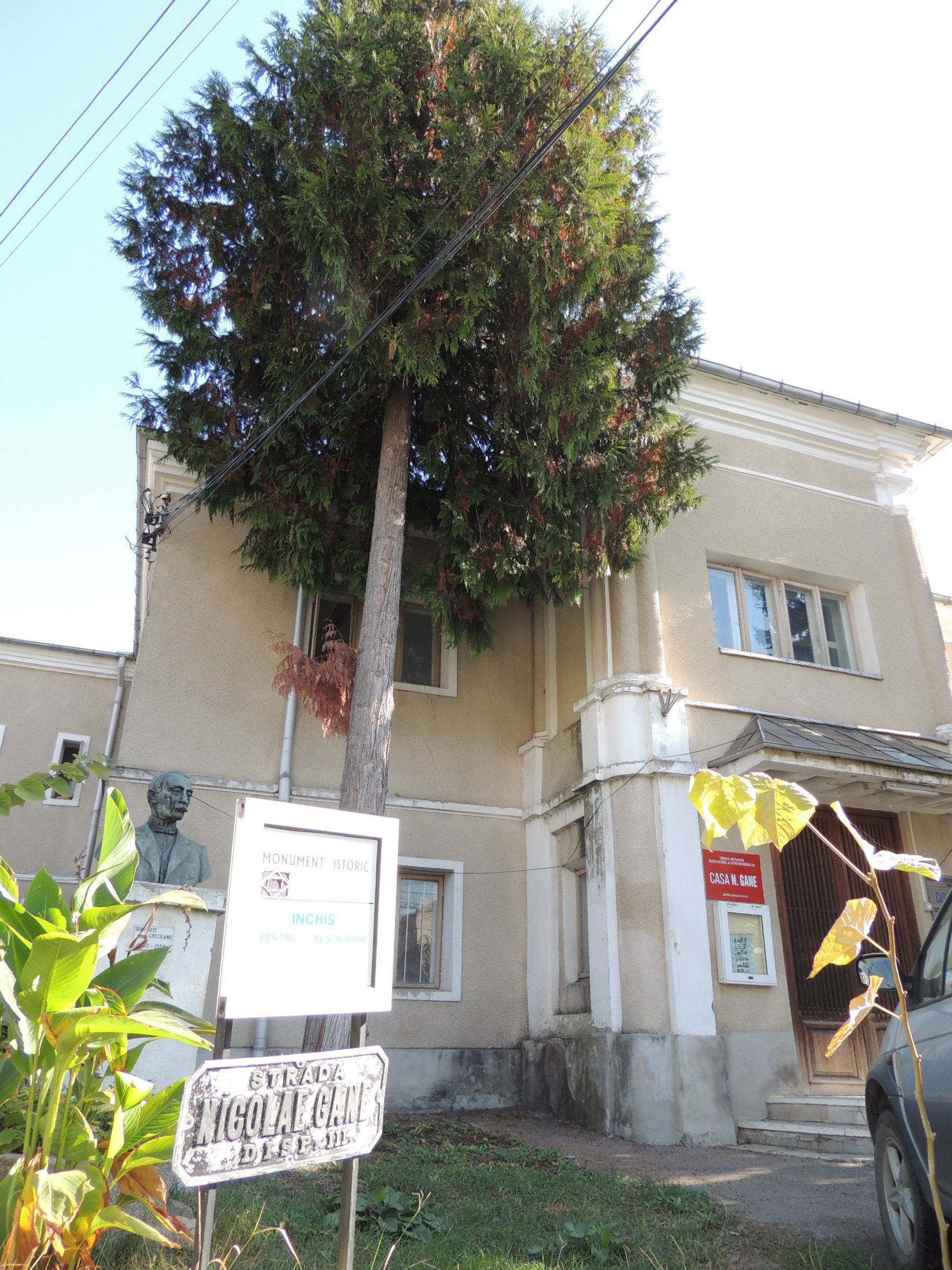  307512_202717_stiri_Casa-Nicu-Gane3