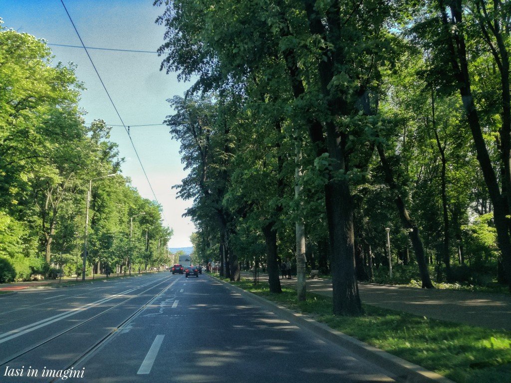  Primăria, prinsă cu minciuna în privinţa spaţiului verde. În ce cartiere se respiră aer curat?