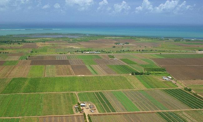 Iașul rămâne pe harta cu cele mai ieftine terenuri agricole. Prețurile din județ sunt sub media națională cu mai bine de 1.000 euro la hectar