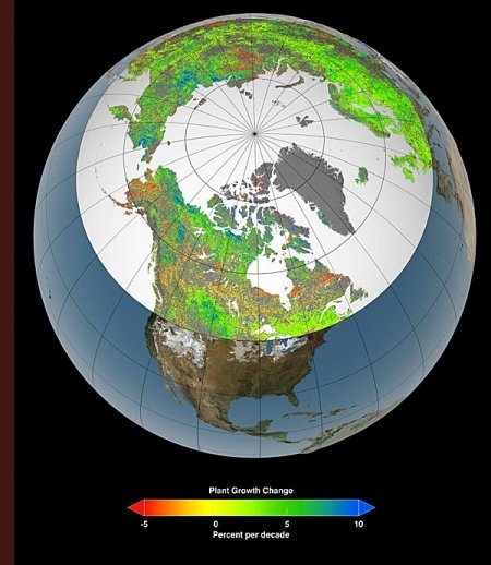 Copaci si iarba in zonele arctice. Afla explicatiile NASA