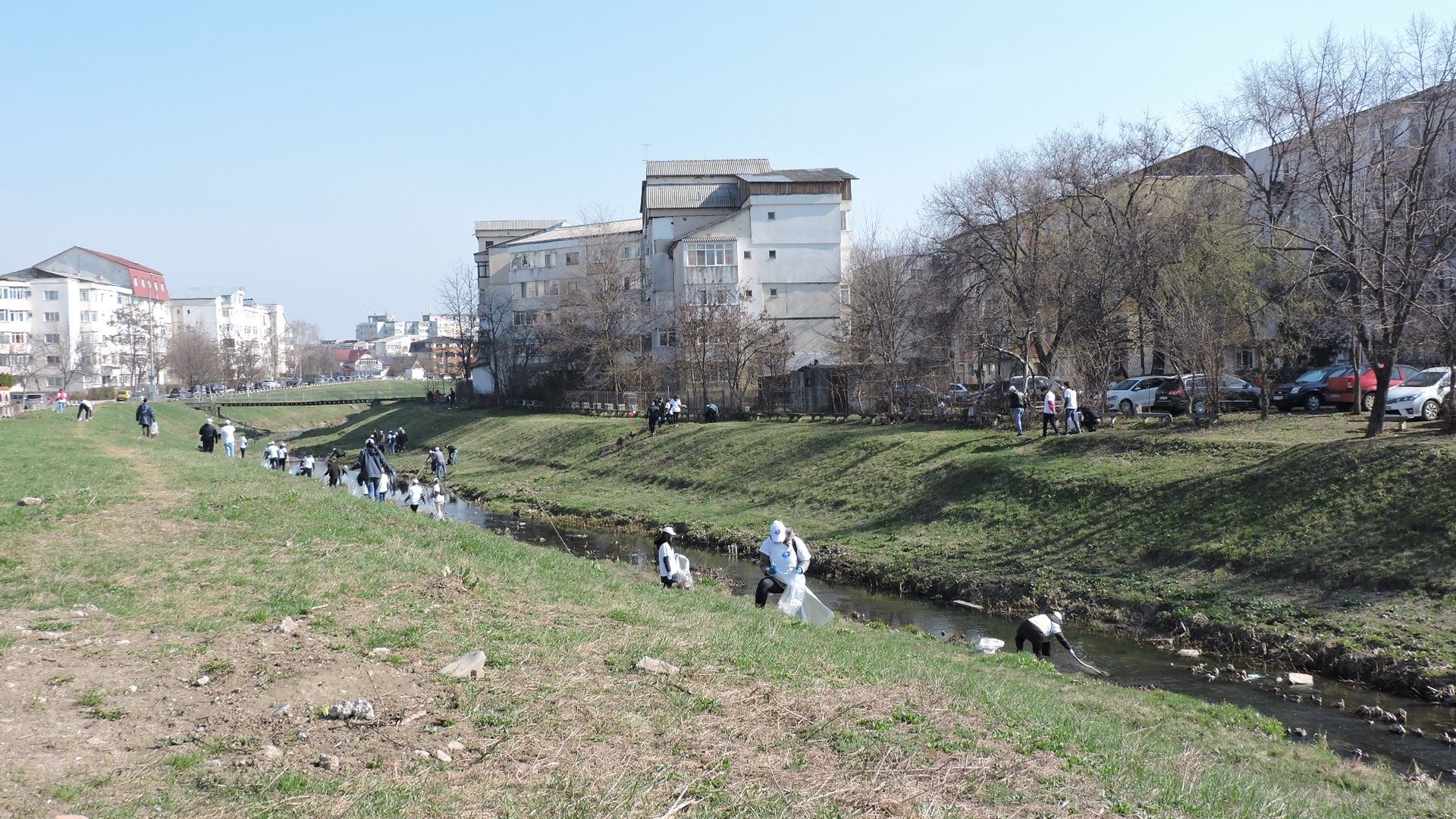  FOTO: Cursurile de apă Nicolina şi Bahlui au fost ecologizate joi