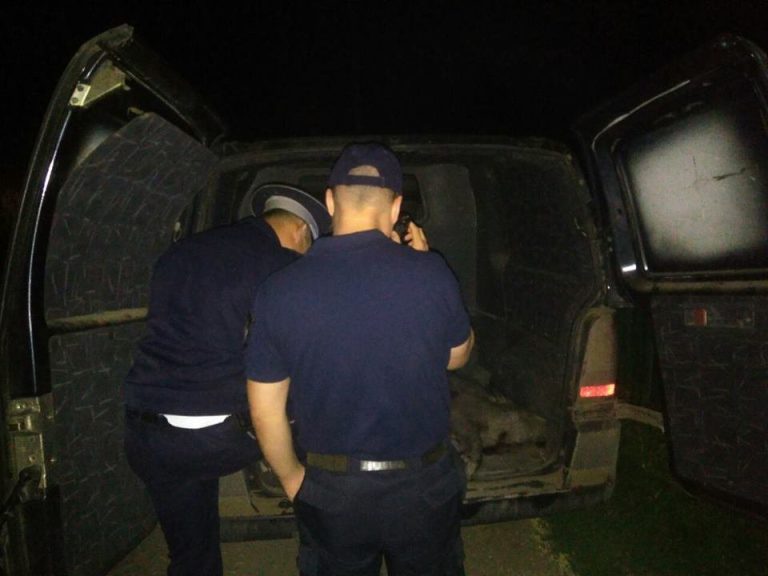 Rețelele corupției la granițele României: mii de identități false, adrese fictive și funcționari implicați