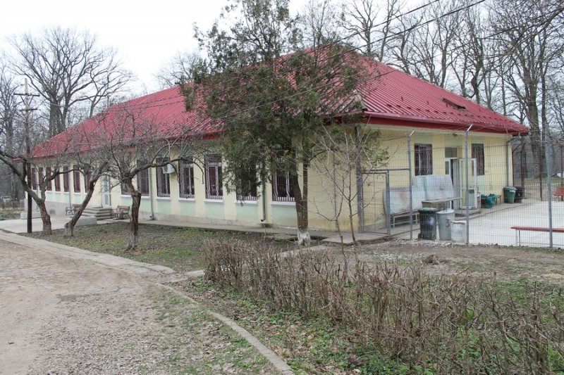  Tragedia de la Săpoca, posibilă oricând la Iaşi. „Doar o palmă? A fost o zi bună“