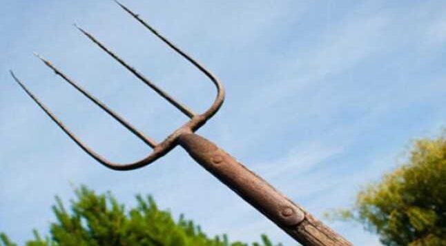  Închisoare pentru un tânăr de 18 ani care s-a trezit cu doi vecini la poartă, unul cu un cuțit și celălalt cu o furcă. „Nu știu altceva în afară de școală, cal și trompetă”