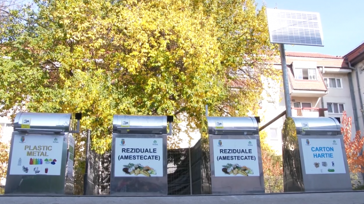 Veți putea duce cadavrele animalelor din companie în Iași într-un container frigorific. Primăria contractează amenajarea a trei noi puncte pentru colectarea deșeurilor