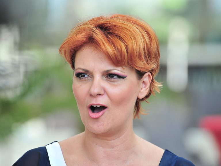 Lia Olguţa Vasilescu: Când am auzit că a intrat Ordonanţa 52 în Guvern şi că se interzic târgurile de Crăciun, nu vreţi să ştiţi ce crize au fost, s-a oprit şedinţa