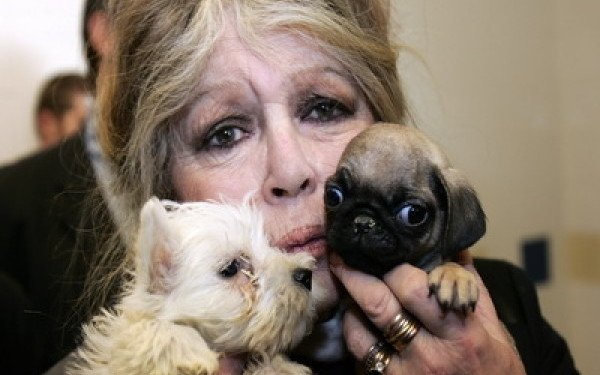 Brigitte Bardot rupe tăcerea despre starea sa de sănptate: „Vă îmbrăţişez pe toţi!”