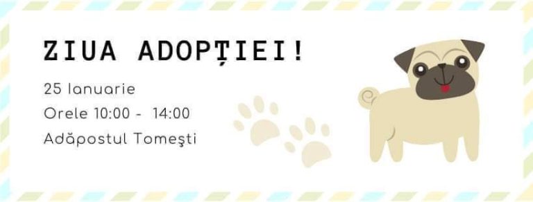 Promisiunile cățeilor din adăpostul de la Tomești. Eveniment important sâmbătă