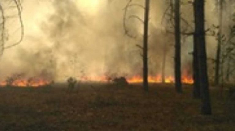 Japonia: Cel mai grav incendiu forestier din ultimii 50 de ani este aproape de a fi stins cu ajutorul... ploii