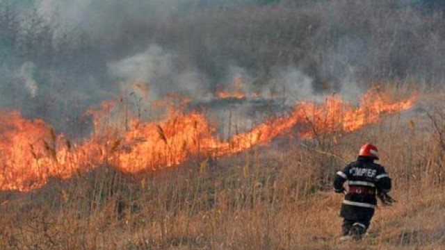 Incendiile de vegetaţie au mistuit peste 8.000 de hectare, în doar patru zile. Două persoane au murit